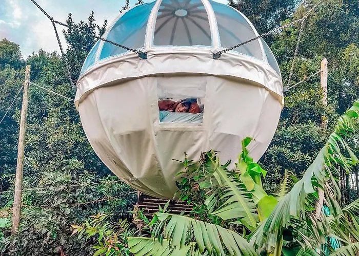 Quinta Do Abacate - Glamping Park Orman Evi