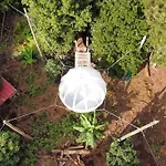 Lodge Quinta Do Abacate - Glamping Park *
