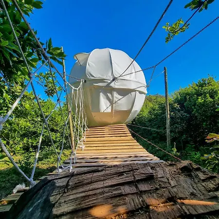 Quinta Do Abacate - Glamping Park * Angra do Heroismo
