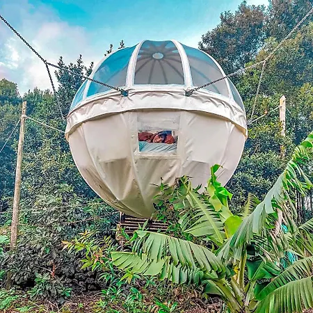 Quinta Do Abacate - Glamping Park Lodge