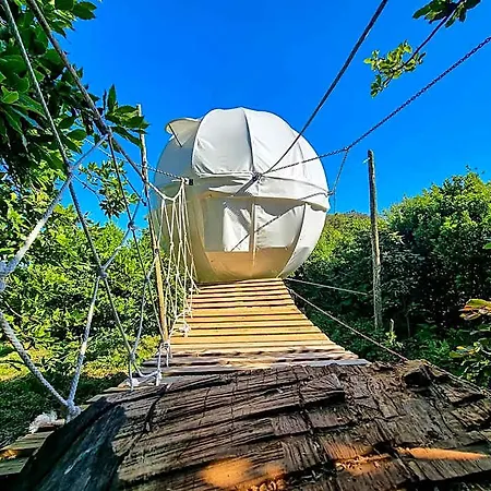 Quinta Do Abacate - Glamping Park Lodge *