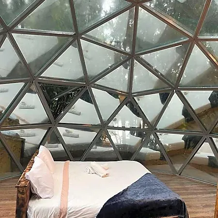 Quinta Do Abacate - Glamping Park Angra do Heroismo