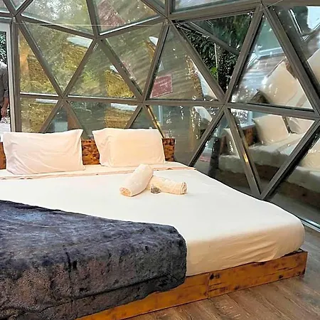 Quinta Do Abacate - Glamping Park Orman Evi
