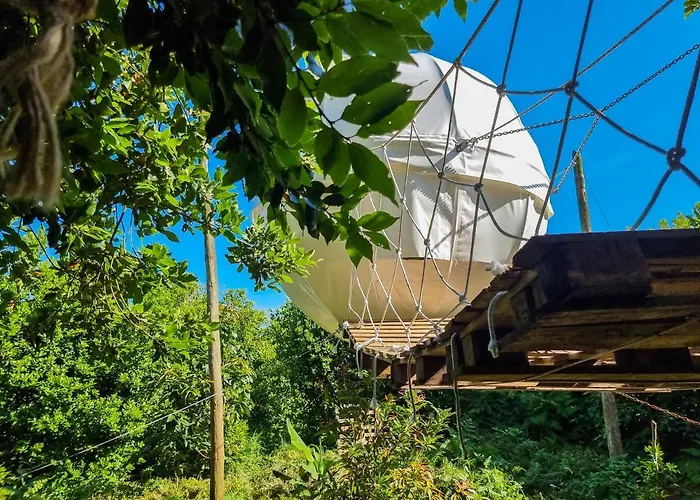 Quinta Do Abacate - Glamping Park Angra do Heroismo